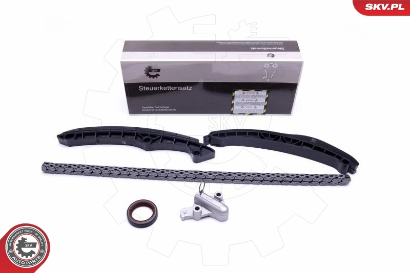 Timing Chain Kit